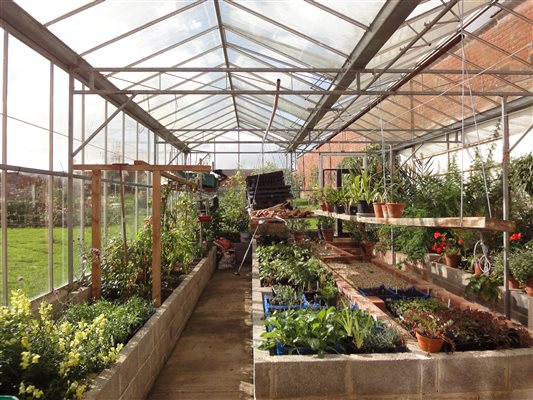 Greenhouse behind cottages